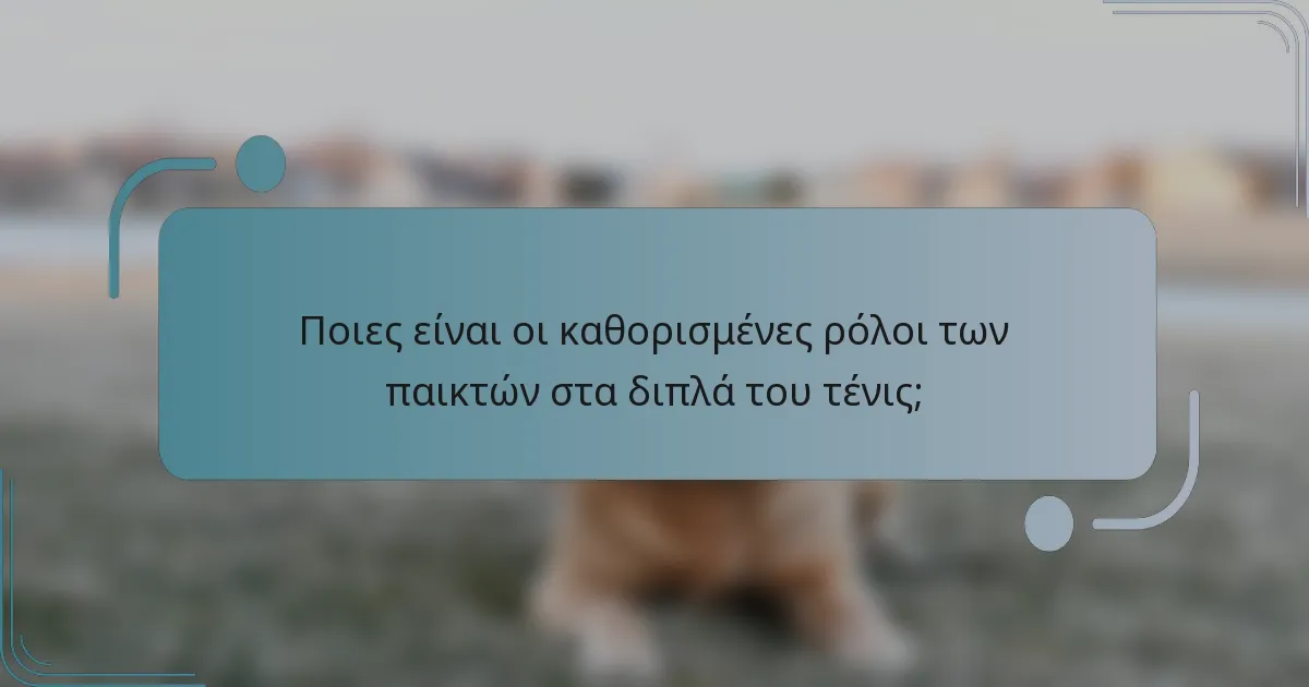 Ποιες είναι οι καθορισμένες ρόλοι των παικτών στα διπλά του τένις;